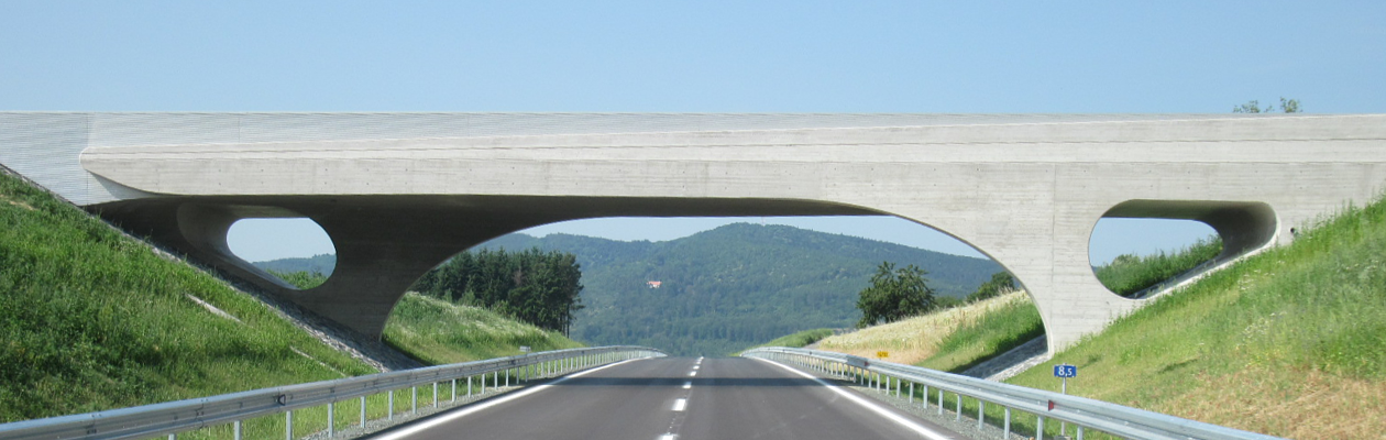 B61a_Brücke