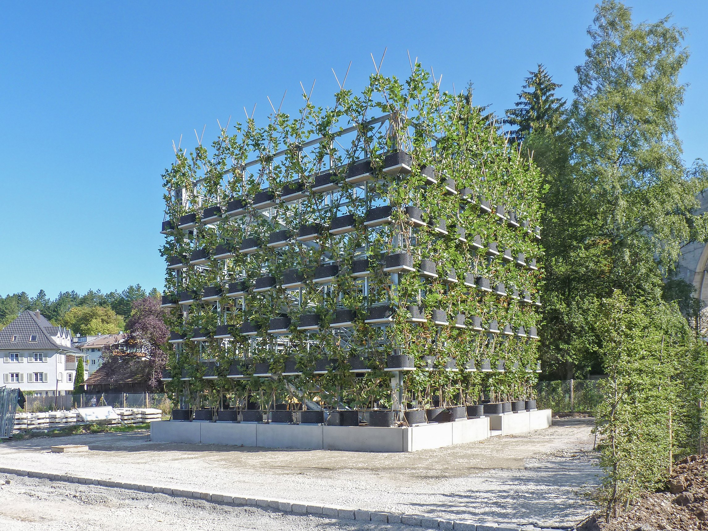 Building trees. «Живой дом» Константина Кирша. Фердинанд Людвиг Архитектор. Baubotanik. Архитектура из живых деревьев.